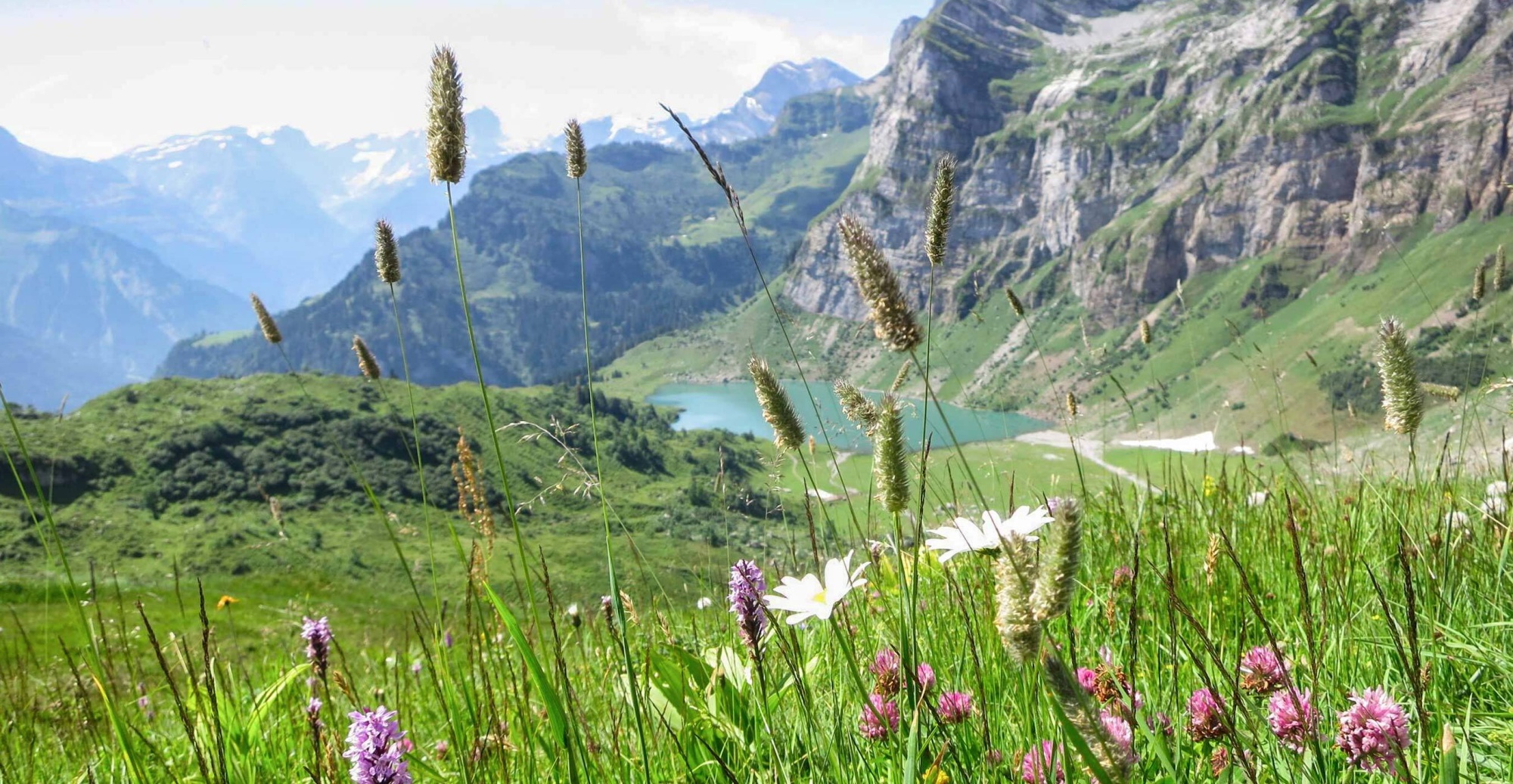 Pflanzenschutzgebiet