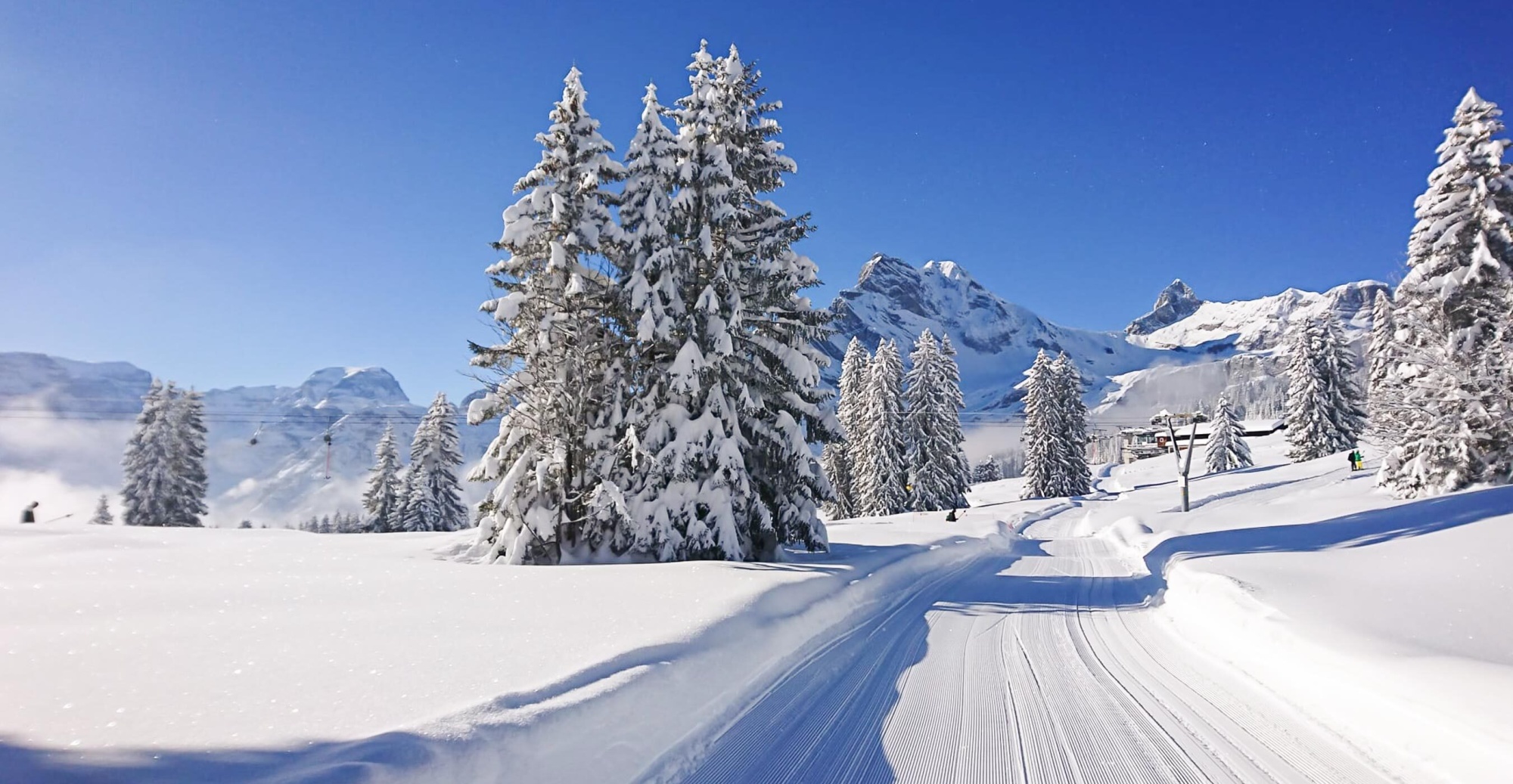 Langlauf, Schneewandern