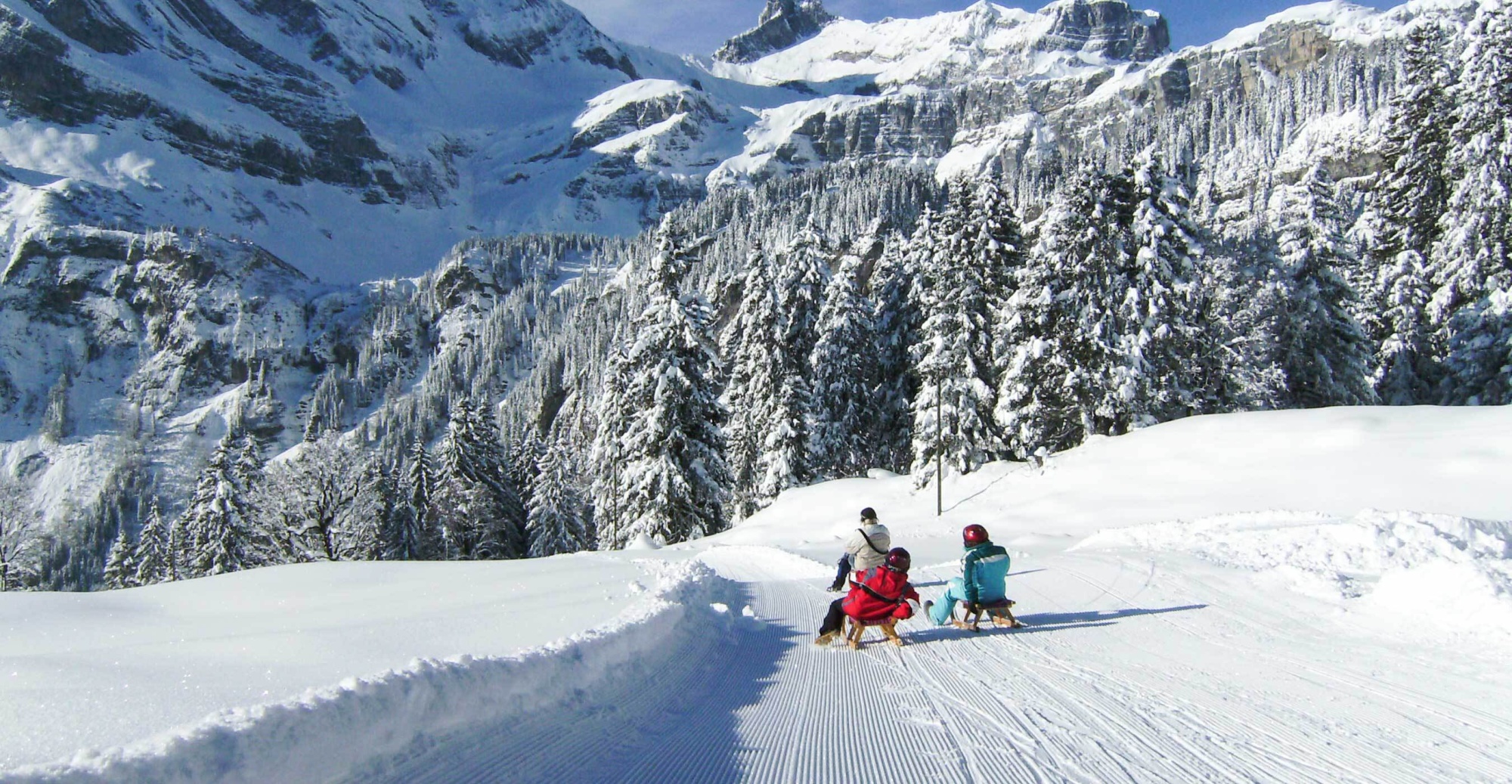 Schlitten- und Kutschenfahrten