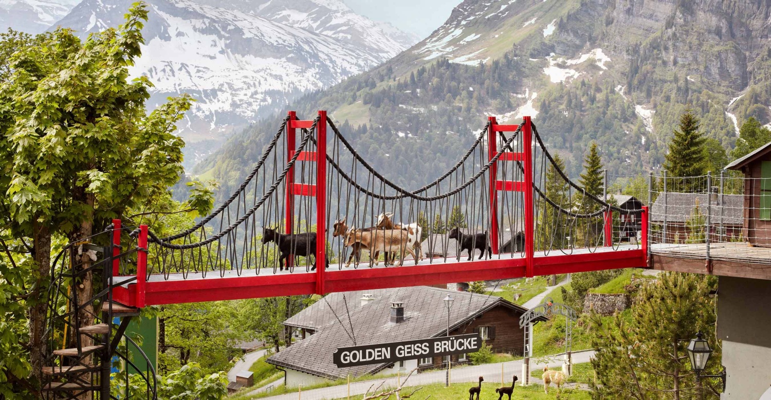 Lama- und Alpaka-Gehege