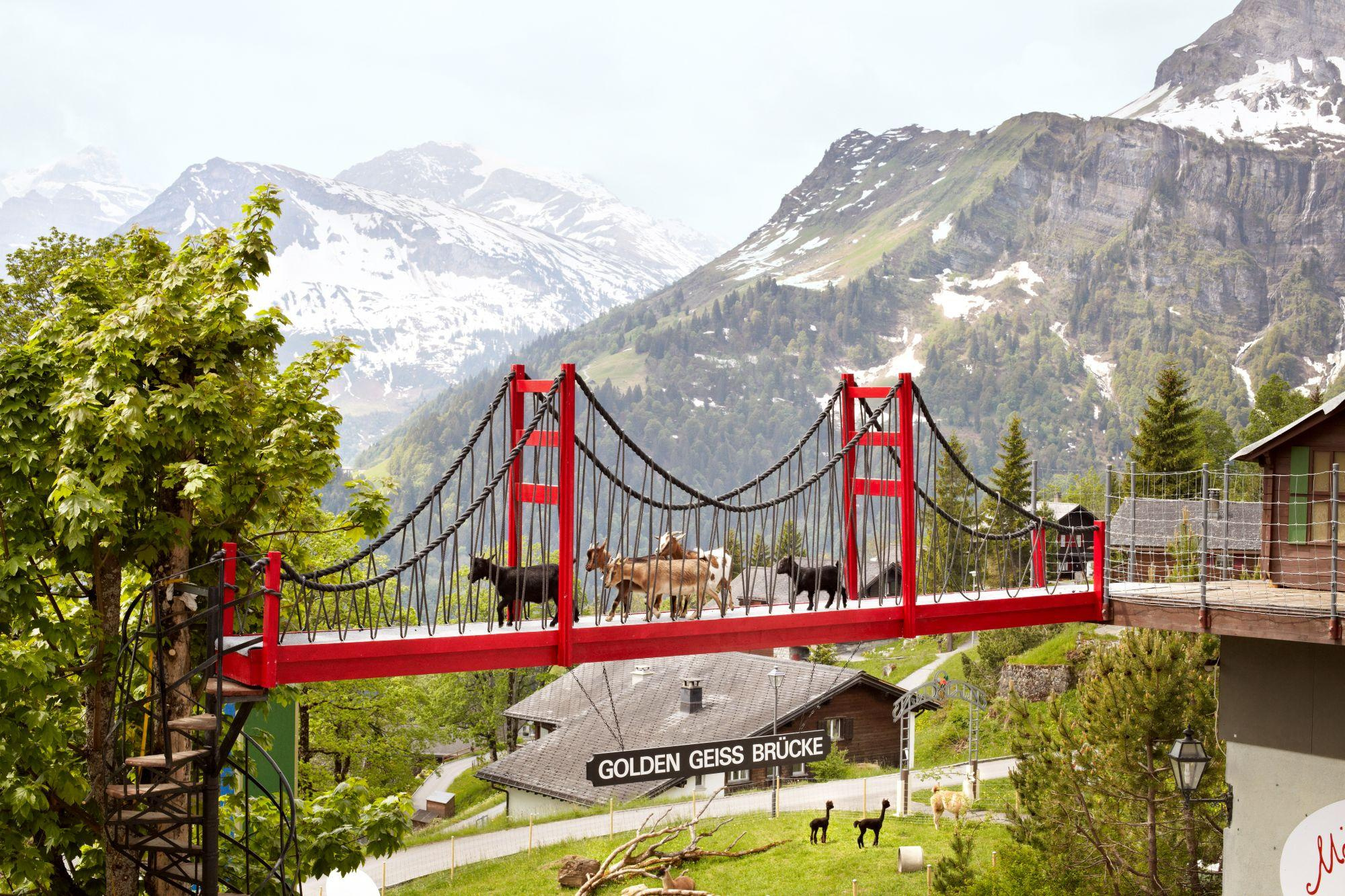 Golden Geiss Bruecke Webgroesse