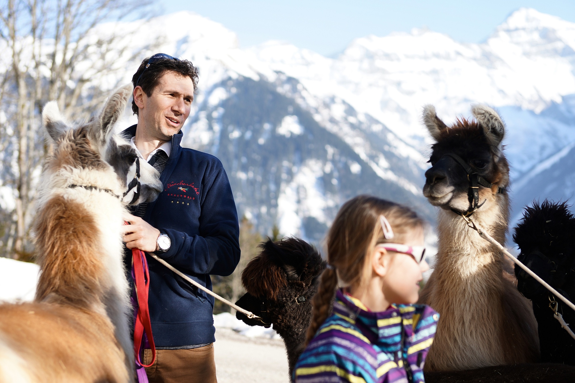 MHB Lama2 SS Sommer quer orig stand